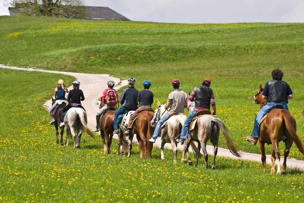 Más Que Un Paseo: Una Actividad Relajante Con Grandes Beneficios