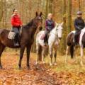 Secretos para Construir una Relación Inquebrantable con Tu Caballo