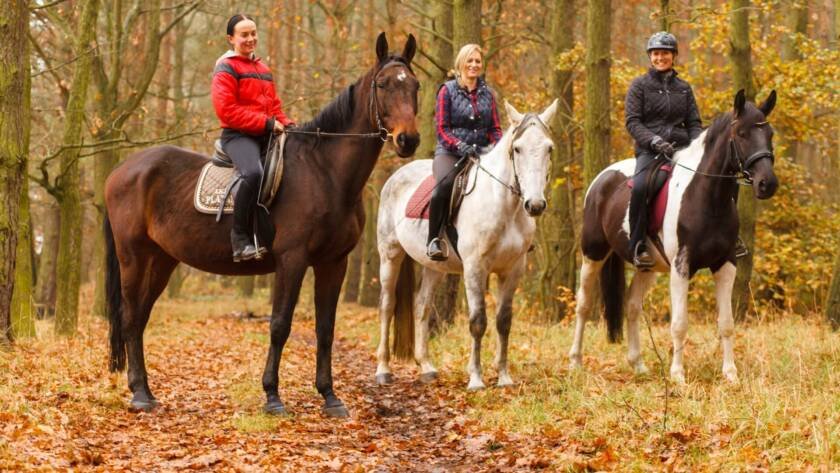 Más Que Un Paseo: Una Actividad Relajante Con Grandes Beneficios