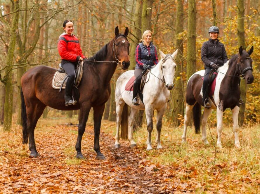 Más Que Un Paseo: Una Actividad Relajante Con Grandes Beneficios